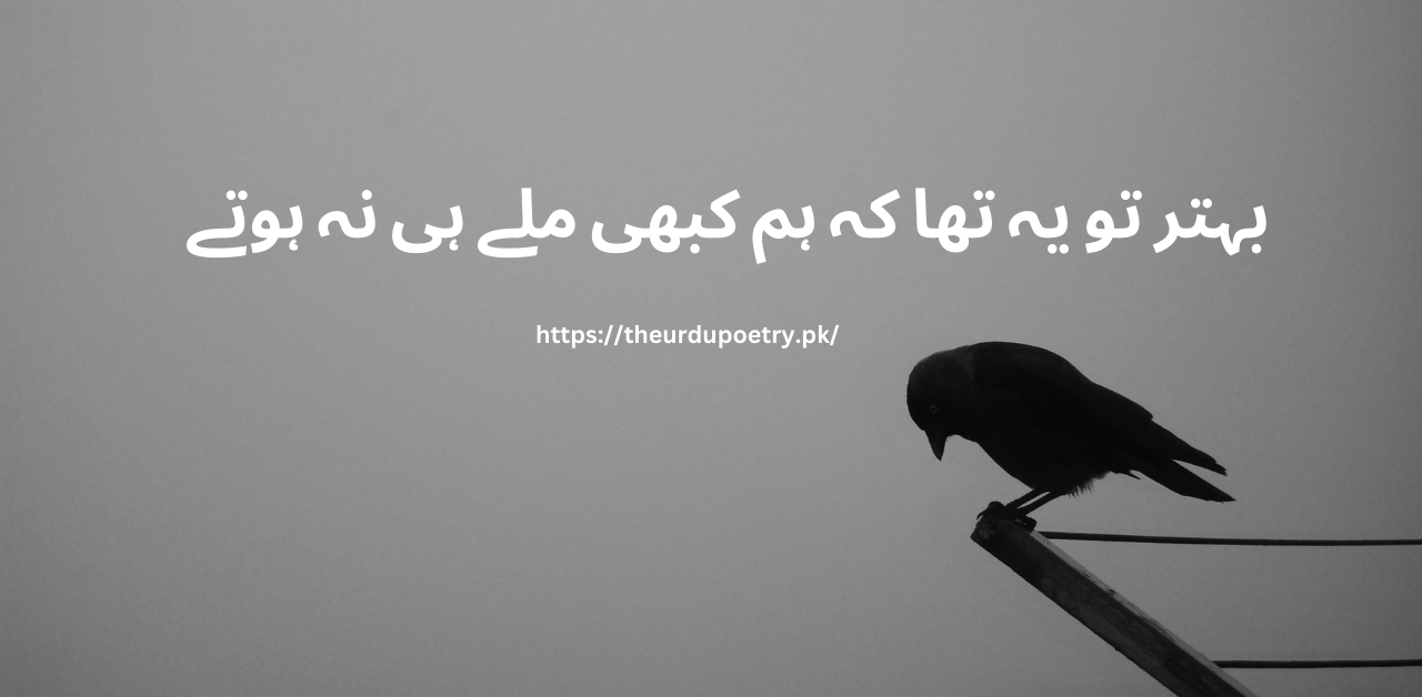 One Line Urdu Poetry About Life