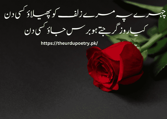 heart touching love poetry in urdu