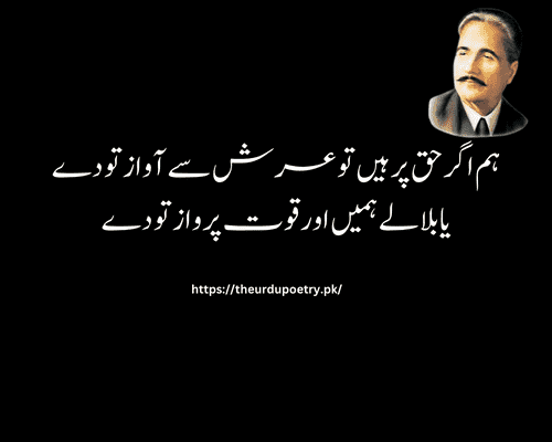 iqbal day poetry