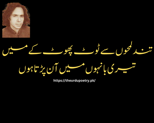 john elia love poetry