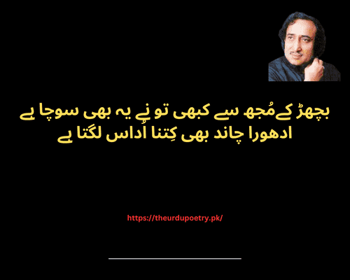 Mohsin Naqvi Poetry In Urdu 2 Lines Text