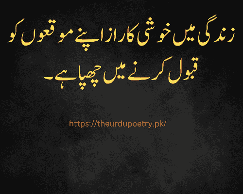 best quotes about life in urdu