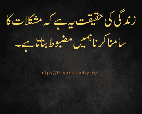 life changing quotes in urdu