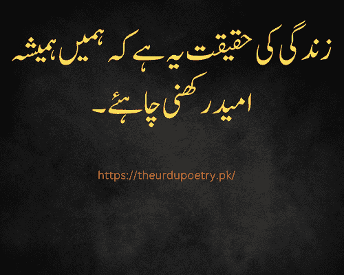 quotes in urdu about life reality