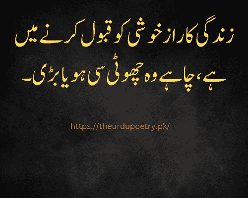 sad quotes about life in urdu