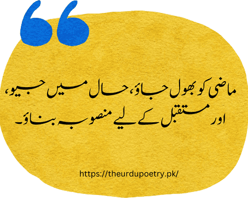 deep life quotes in urdu