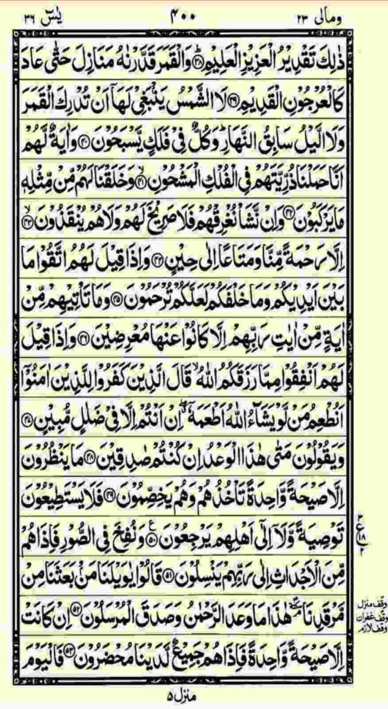 surah yaseen online