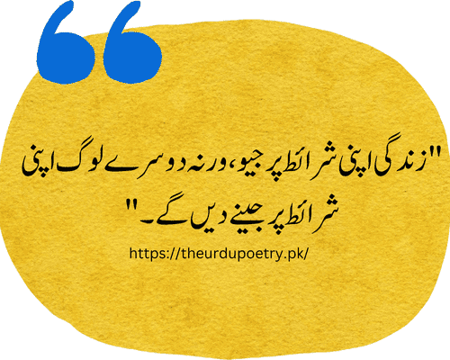 boy attitude poetry in urdu 2 lines