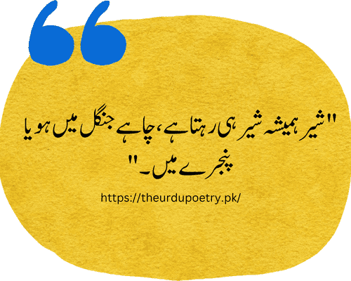 boy attitude poetry in urdu