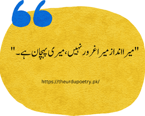 boy attitude quotes in urdu