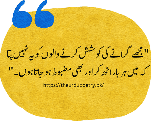 boy poetry in urdu