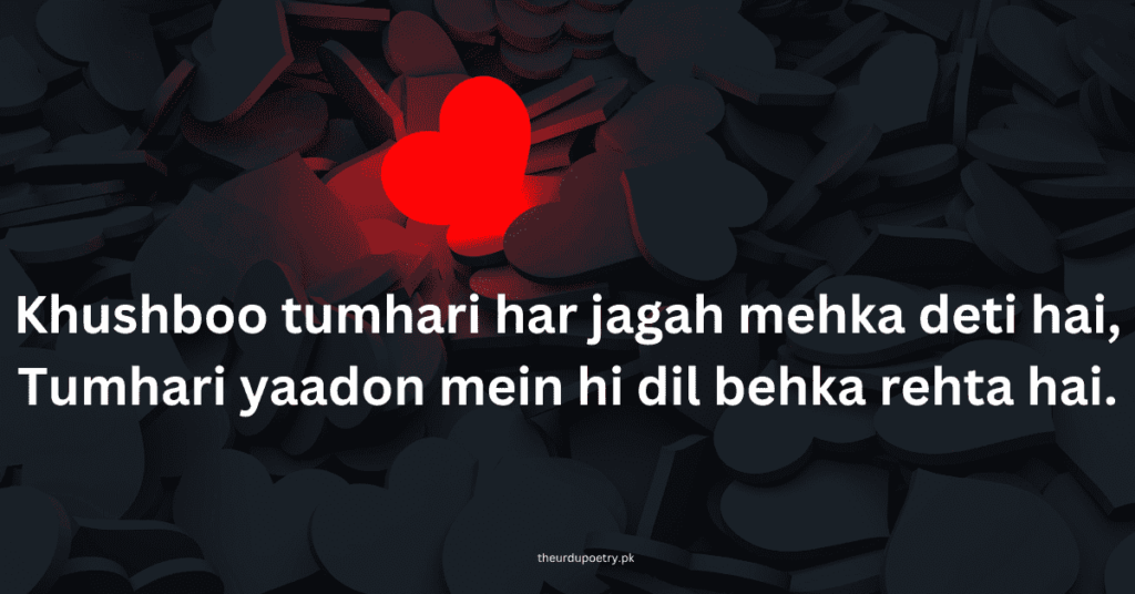 2 Line Love Shayari in English - 150 Best Shayari on Love