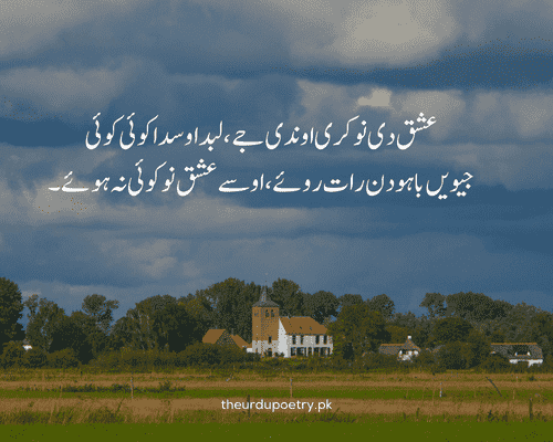 20 + Most Famous Punjabi Poetry - Panjabi Shayari