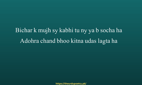 Mohsin Naqvi Poetry In Urdu 2 lines Text