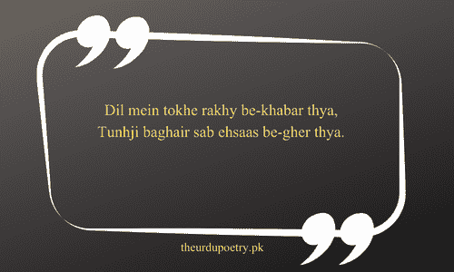 sindhi poetry on sindh​