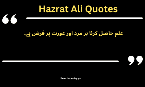 Best 30+ Hazrat Ali Quotes in Urdu​ About Friendship