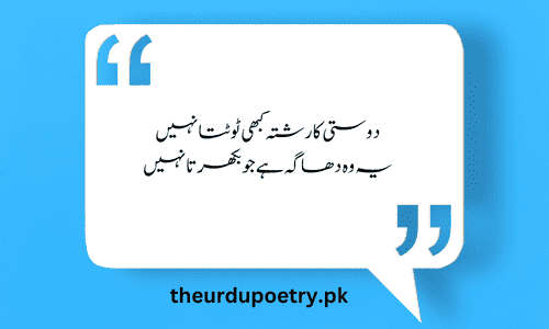 funny friendship poetry in urdu two lines