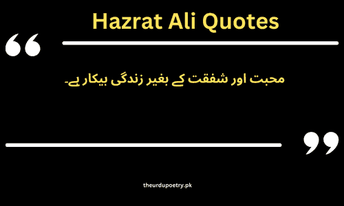 hazrat ali quotes in urdu