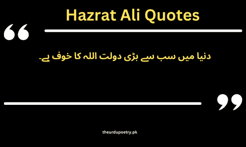 hazrat ali ra quotes in urdu​