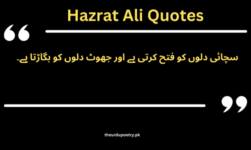 mola ali shahadat quotes