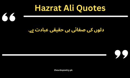 quotes of hazrat ali in urdu about education​